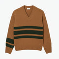 Striped Wool Sweater with a V-neck