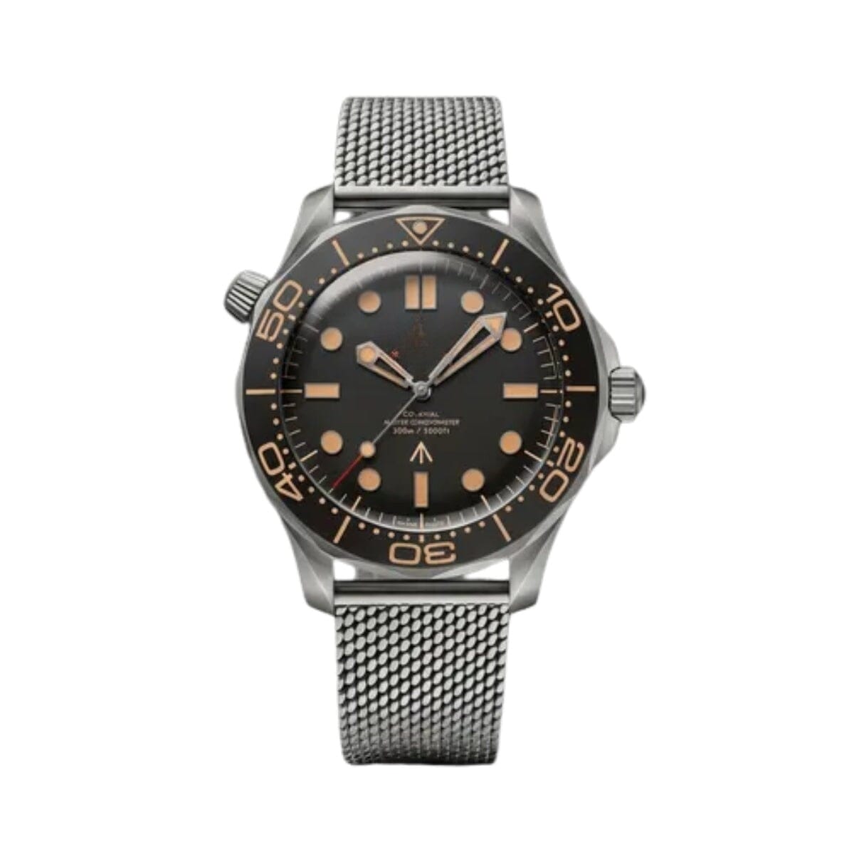 Seamaster Diver 007 Edition Collector's Item